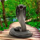 Snake Live Wallpaper APK