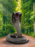 Snake स्क्रीनशॉट 2