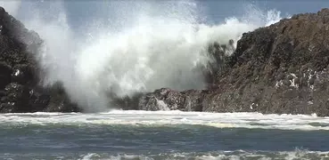 Ocean Waves Live Wallpaper