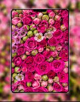 Rose Wallpaper اسکرین شاٹ 1