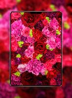 Rose Wallpaper اسکرین شاٹ 2