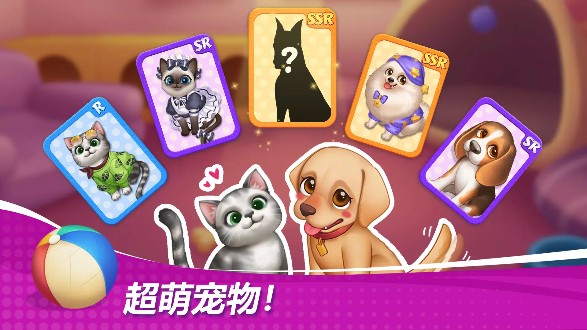 星厨奇迹:筑梦之旅