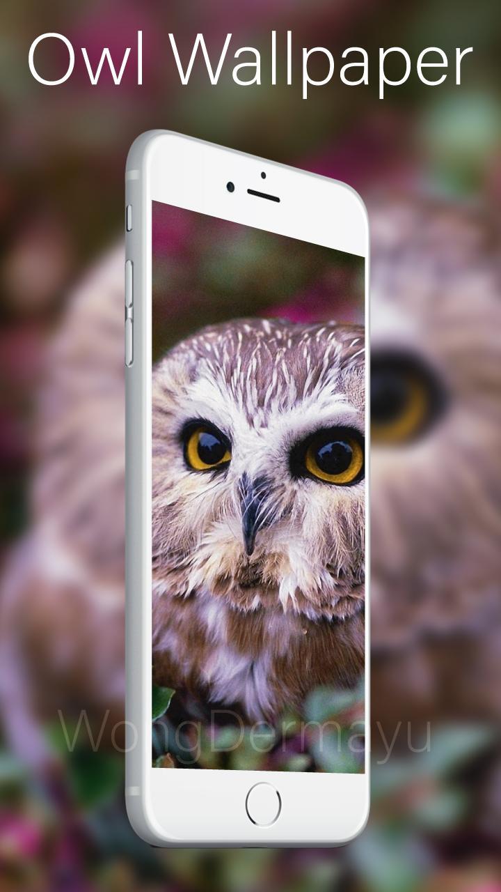 Owl Wallpaper Art Free For Android Apk Download Owl Wallpaper Art Free For Android Apk Download