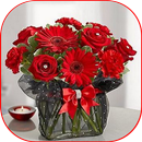 Pictures of different roses and flowers APK