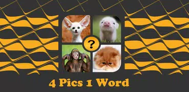 4 Pics 1 Word