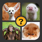 4 Pics 1 Word أيقونة