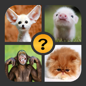 4 Pics 1 Word أيقونة