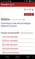 Icelandic Bible Affiche