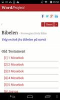 Norwegian Bible پوسٹر