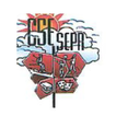 Sepr-Saint-Gobain CSE icon