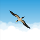 Flying Condor APK