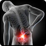 Back Pain Exercises & Relief