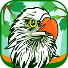 Different Types Of Birds Quiz Game icon