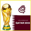 World Cup Qatar Guide APK