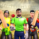 Real World Cup Cricket Games APK