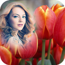 Colorful Tulips Photo Frame APK