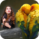 Love Birds Photo Frame APK
