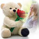 Teddy Bear Photo Frame APK