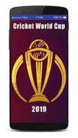 Cricket World Cup 2019 Schedule Hindi постер