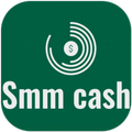 Smm money