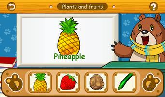 Plants and fruits постер