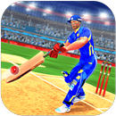 Cricket Premier League 2020: 3d Real Cricket Games APK