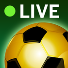 Football Soccer Live Scores icon