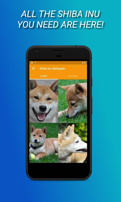 Android 用の 柴犬の壁紙19 Apk をダウンロード