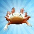 Keyboard Axolotl