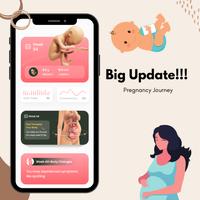 Pregnancy Journey Cartaz