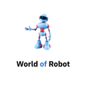 World Of Robot