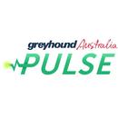 Pulse app APK