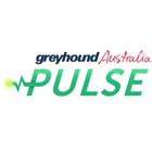 Pulse app icon