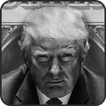 Trump Wallpapers