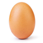 World Record Egg icône
