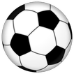 EPL Survivor '24 icono