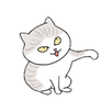 Cat Punch APK