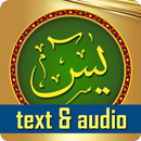 Yasin With Audio Offline APK