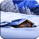 Winter HD Live Wallpapers-APK