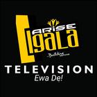 ARISE IGALA TV icon