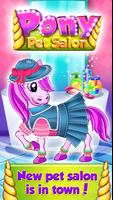 Pony Princess Pet Salon 포스터