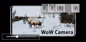 WoW Camera