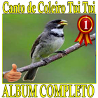 Canto de Coleiro Tui Tui album canto de pássaros icône