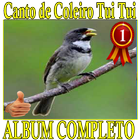 Canto de Coleiro Tui Tui album canto de pássaros ícone