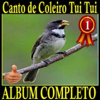 Canto de Coleiro Tui Tui album canto de pássaros Affiche