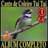 Canto de Coleiro Tui Tui album canto de pássaros imagem de tela 2