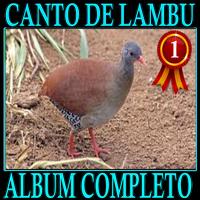برنامه‌نما canto de lambu  completo album canto de pássaros عکس از صفحه