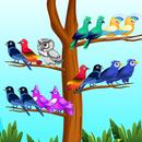 Bird Sort - Color Puzzle Game APK