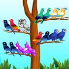 Bird Sort - Color Puzzle Game أيقونة