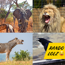 Animal Yell Soundboard APK